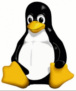 Finisce XP e Linux non si installa. Che fare ?