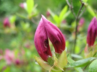 2013: ... e quindi ? ... Per uscirne meglio - Auguri